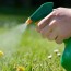 sprayweeds-roundup copie