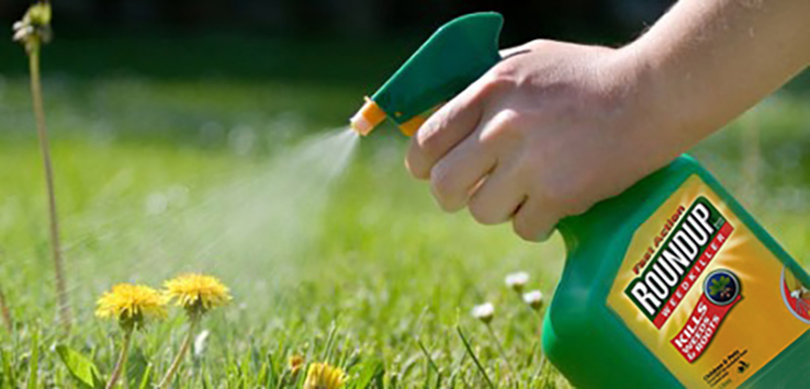 sprayweeds-roundup copie