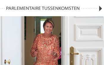 parlementaire tussenkomsten