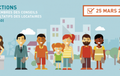 visuelcocolo