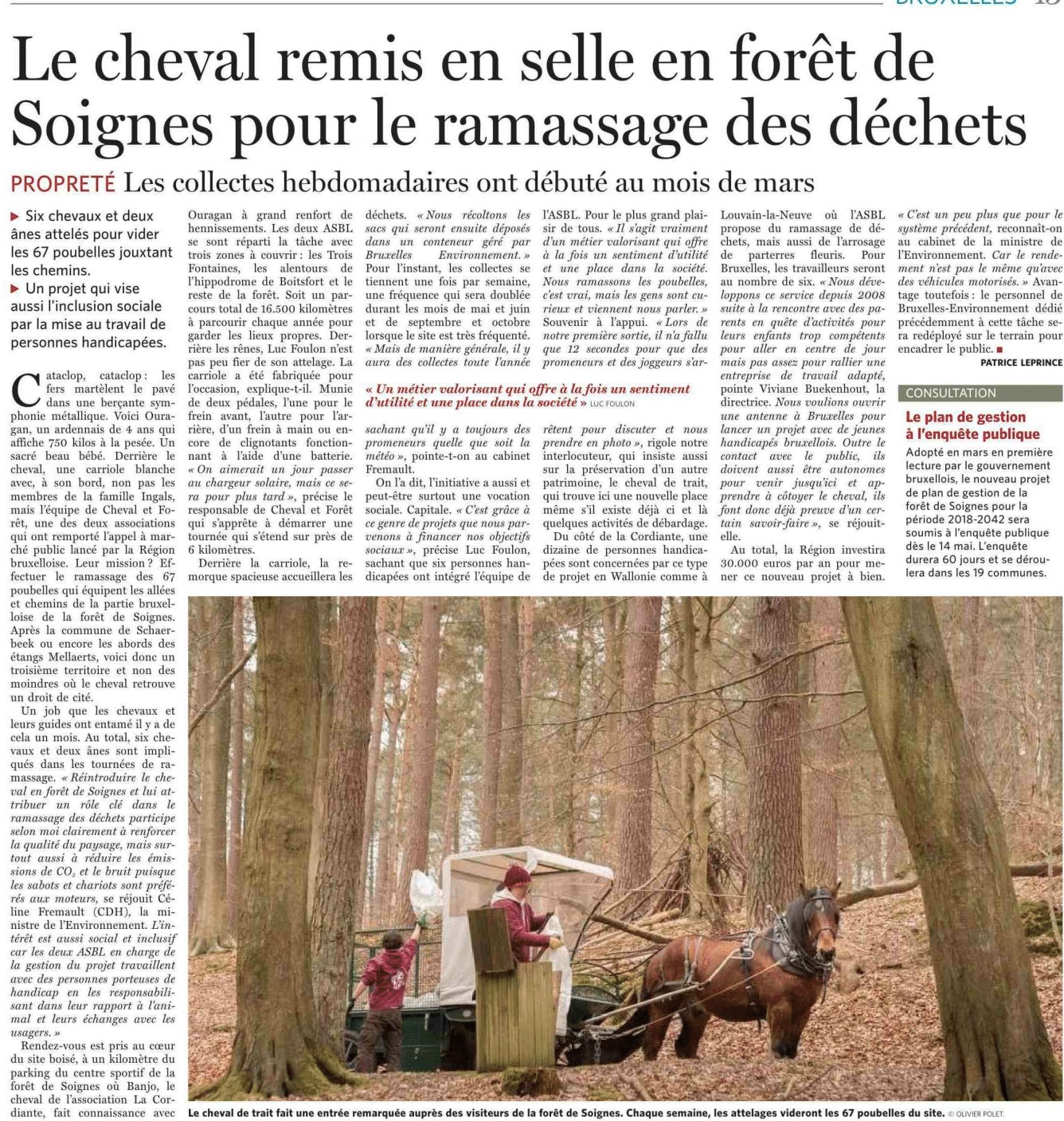 Le cheval remis en selle en FdS pour le ramassage des déchets - Le Soir-1